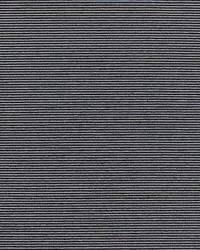 Ventura Noir by  Scalamandre Wallcoverings 