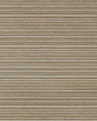 Luxury Composition Fawn by  Scalamandre Wallcoverings 