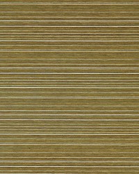 Luxury Composition Mustard by  Scalamandre Wallcoverings 