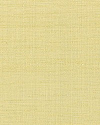 Orissa Silk Citrone by  Scalamandre Wallcoverings 