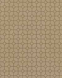 Powerful Connections Saddle by  Scalamandre Wallcoverings 