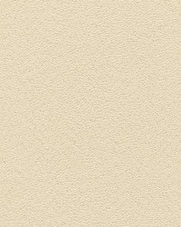 Veneto Sandstone by  Scalamandre Wallcoverings 