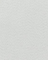 Veneto Mist by  Scalamandre Wallcoverings 