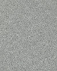 Veneto Pewter by  Scalamandre Wallcoverings 