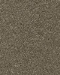 Veneto Smoke by  Scalamandre Wallcoverings 