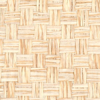 Scalamandre Wallcoverings Moccasin Weave Cream WTW0418MOCC Beige 