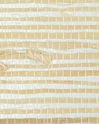 Sultry Grass Silver by  Scalamandre Wallcoverings 