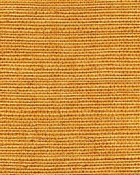 Organic Sisal Tuscan by  Scalamandre Wallcoverings 