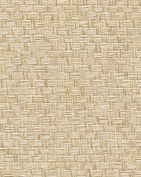 Organic Paperweave Rattan by  Scalamandre Wallcoverings 