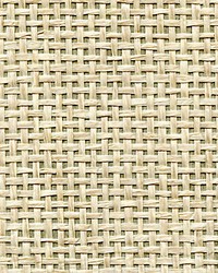 Organic Paperweave Flax by  Scalamandre Wallcoverings 