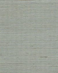 Organic Sisal Spa by  Scalamandre Wallcoverings 