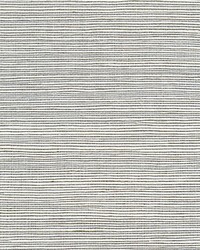 Organic Sisal Shadow by  Scalamandre Wallcoverings 
