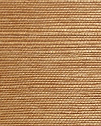 Organic Sisal Cinnamon by  Scalamandre Wallcoverings 