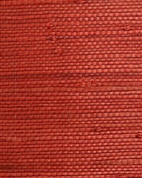 Natural Jute Grenadine by  Scalamandre Wallcoverings 