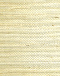 Natural Jute Cotton by  Scalamandre Wallcoverings 