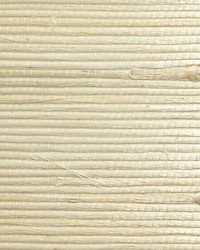 Natural Jute Cotton In The Raw by  Scalamandre Wallcoverings 
