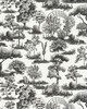 Scalamandre Wallcoverings GARDEN TOILE ONYX