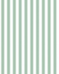 Piano Stripe Wallcovering Endive by   