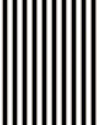 Piano Stripe Wallcovering Ebony by   