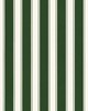 Scalamandre Wallcoverings ACCORDION STRIPE FOREST