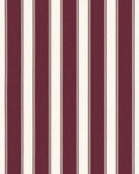 Accordion Stripe Burgundy by   