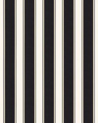 Accordion Stripe Onyx by   