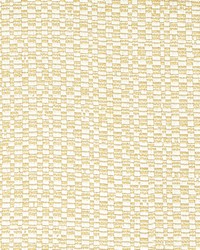 7803-77 FOUNDATION BEACH BLONDE by  Stout 