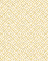 7808-9 ON POINT GLOW by  Stout 