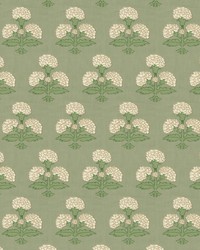 7857 Hydrangea 6 Sage by  Bailey and Griffin 