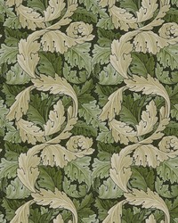 7859 Acanthus 4 Moss by  Premier Prints 
