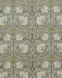 7871 Pimpernel Velvet 2 Stone by  Premier Prints 