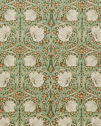 7871 Pimpernel Velvet 4 Hunter by  Premier Prints 