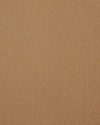 7880 Reed 14 Nectar by   