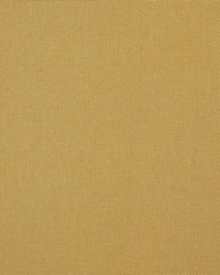 7880 Reed 16 Lemonade by   