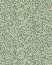 7884 Acorn 1 Boxwood by   