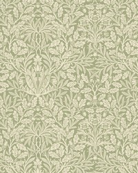 7884 Acorn 2 Apple by   