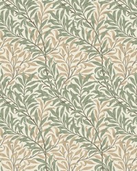 7887 Willow Bough 4 Tearose by   