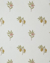 7891 Fruit Embroidery 2 Tangerine by   