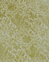 7892 Compton Silhouette Velvet 1 Celery by   