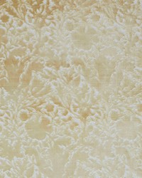 7892 Compton Silhouette Velvet 2 Coin by   