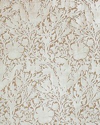 7892 Compton Silhouette Velvet 3 Birch by   