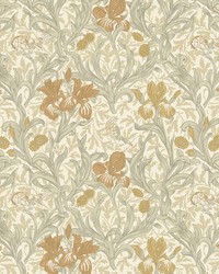 7894 Iris 1 Honey by   