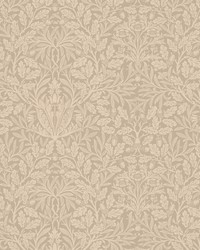 7895 Acorn Velvet 1 Tawny by   