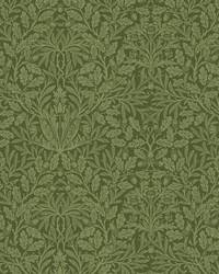 7895 Acorn Velvet 3 Chive by   
