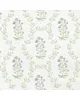 Stout 7907 PERENNIALS 4 WISTERIA
