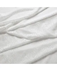 7919 Michaelmas Daisy Sheer 1 Snow by   