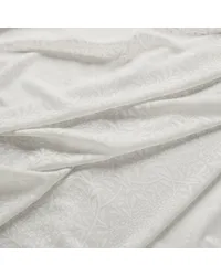 7919 Michaelmas Daisy Sheer 2 Flax by   