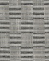 Abalone 1 Steel by  Stout 