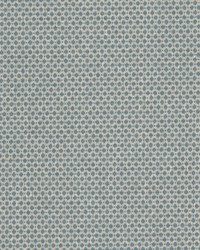 Abloom 1 Chambray by  Stout 