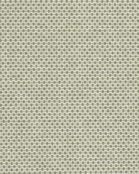 Abloom 2 Apple by  Stout 